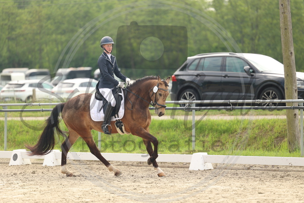 994A6321 | sabrinanicolaifotografie - Realisiert mit Pictrs.com