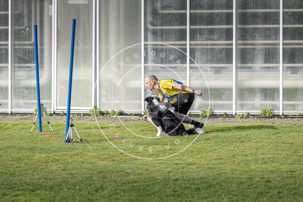 Pfotenfotografie.de_DV3A3453 | Hundefotografie, Tierfotograf, Pfotenfotografie, Fotoshooting Hund, Hunde Portrait, Hundesport, Hundeportraits, Heideshooting, Hunde, Sportfotograf, Hundefotograf, Turnierhundsport, THS, canicross - Realisiert mit Pictrs.com