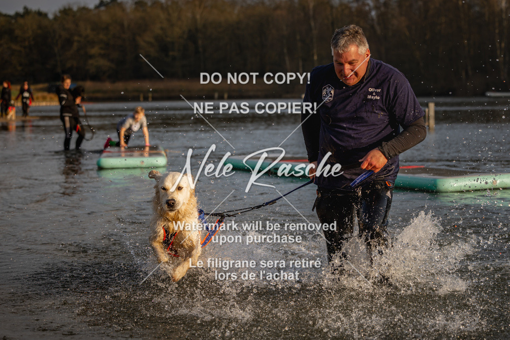 nelerasche_Hulsbeek_Sa1700-1730_375 | nelerasche