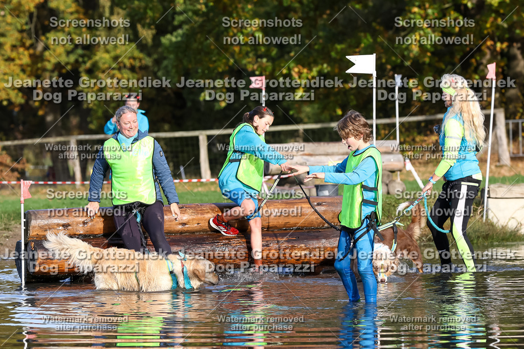 Dog Paparazzi - Strongdog 10-25-8467 | Dog Paparazzi Jeanette Grottendiek Fotografie & Videografie - Realisiert mit Pictrs.com