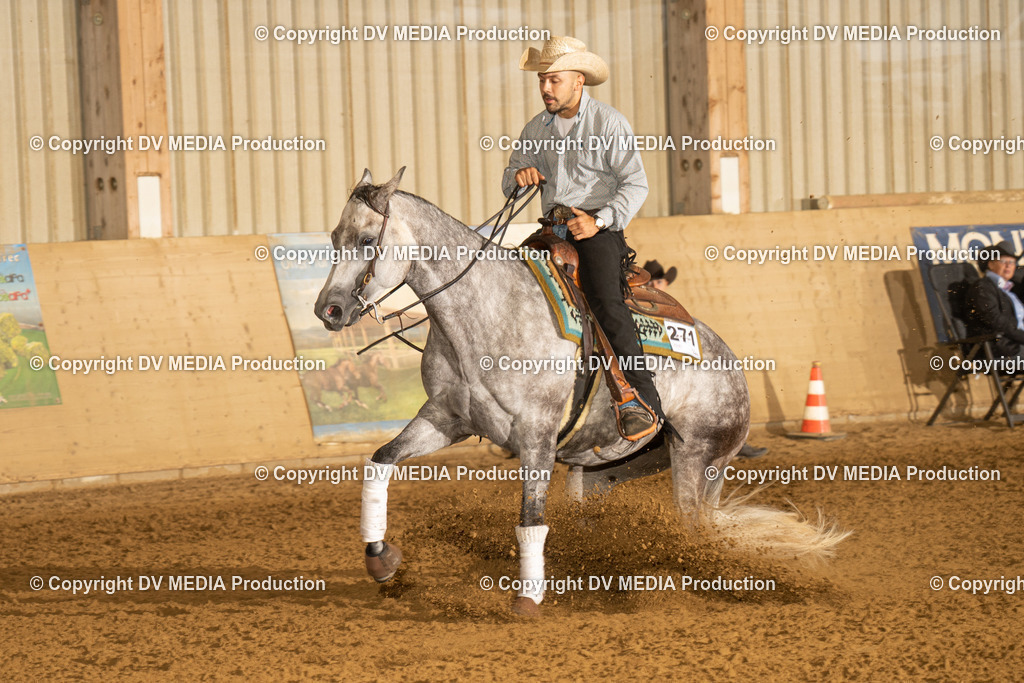 LAU00220 | dv-media-shop - Realisiert mit Pictrs.com