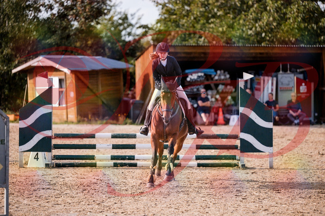 2026_10_03_Siefer-Hof_161037_Z81_90283094 | Professionelle Reitsport-, Turnier- und Eventfotografie von Robert Broda. Galerien mit ausgewählten und bearbeiteten Bildern direkt online ansehen und bestellen.