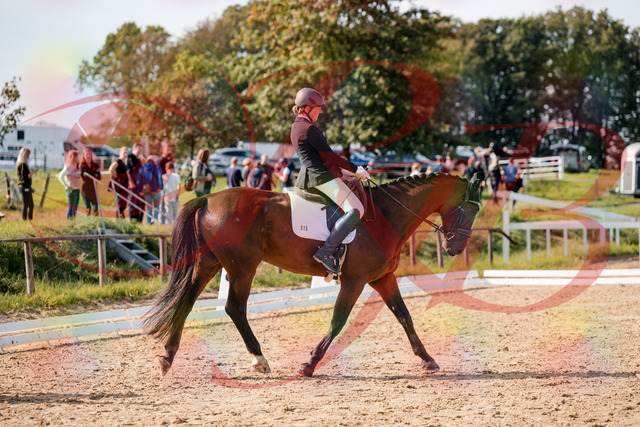 2026_10_03_Siefer-Hof_130436_Z63_67368936 | Professionelle Reitsport-, Turnier- und Eventfotografie von Robert Broda. Galerien mit ausgewählten und bearbeiteten Bildern direkt online ansehen und bestellen.