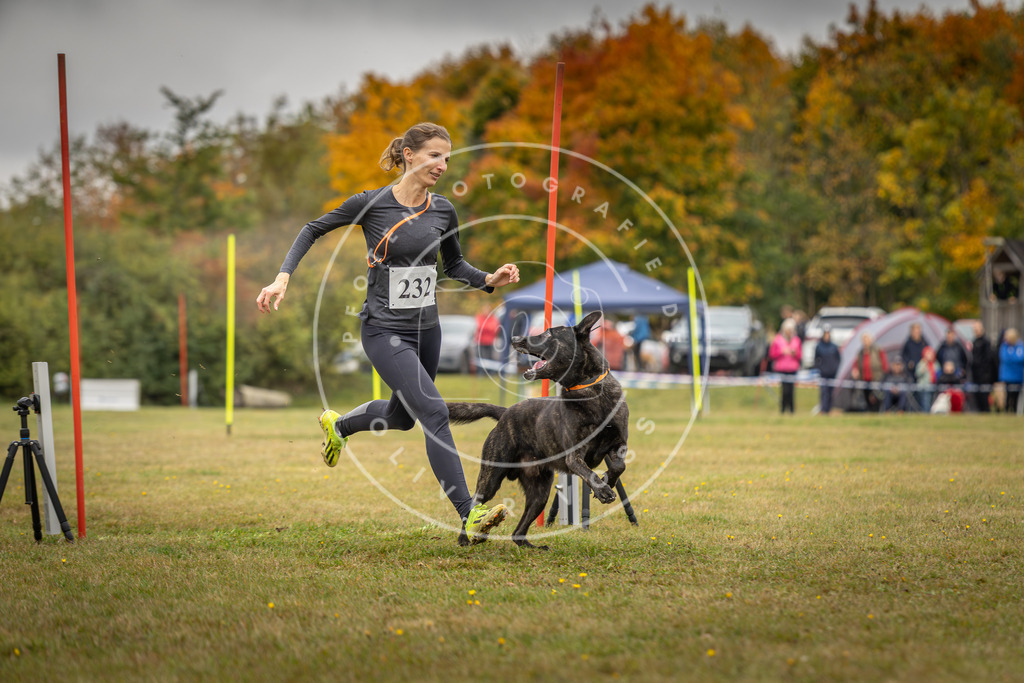 Pfotenfotografie_DV3A4256 | Hundefotografie, Tierfotograf, Pfotenfotografie, Fotoshooting Hund, Hunde Portrait, Hundesport, Hundeportraits, Heideshooting, Hunde, Sportfotograf, Hundefotograf, Turnierhundsport, THS,  - Realisiert mit Pictrs.com