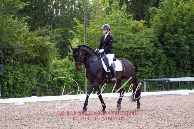 DKP41146 | Turnierfotos kaufen im Webshop von Daniel Kuhl Photography – entdecke professionelle Reitsportfotos aus Turnieren & Events. Hochwertige Turnierbilder online bestellen & sichern. Jetzt Fotos von Reitsportturnieren kaufen!