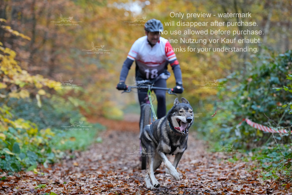 Scooter_So-41 | stephaniefillaphotographie - Realisiert mit Pictrs.com