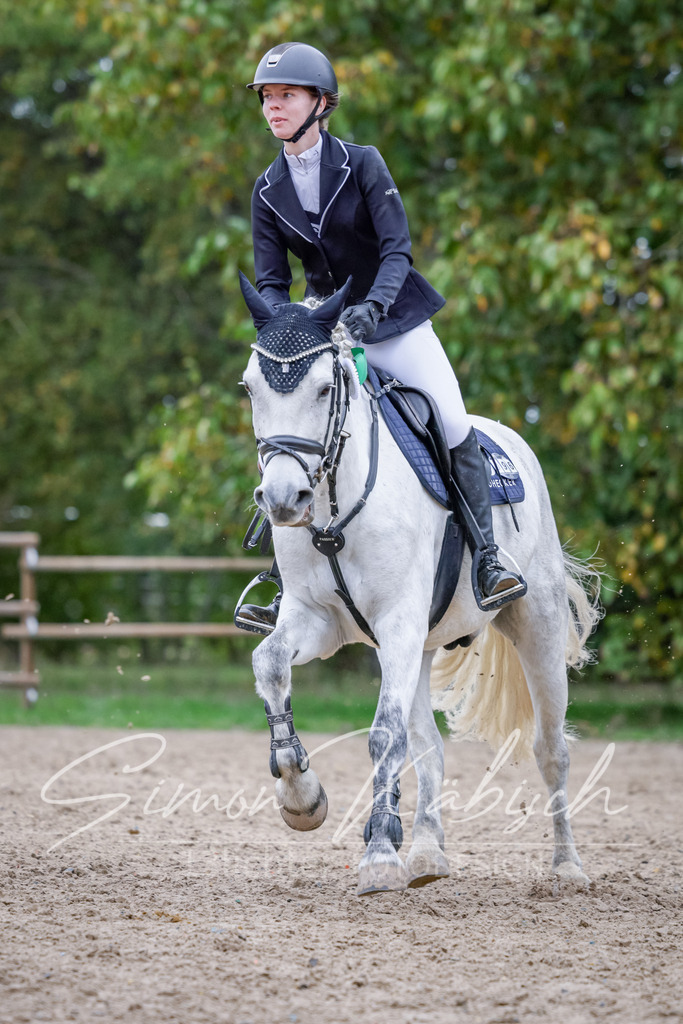 20251012-_3LI4858 | Tierfotografie Pferde, Hunde, Katzen, Haustiere.
Turnierfotografie Reitturniere, Reiten, Springreiten, Dressur in Hanau, dem Main-Kinzig-Kreis und dem Rhein-Main- Gebiet um Frankfurt