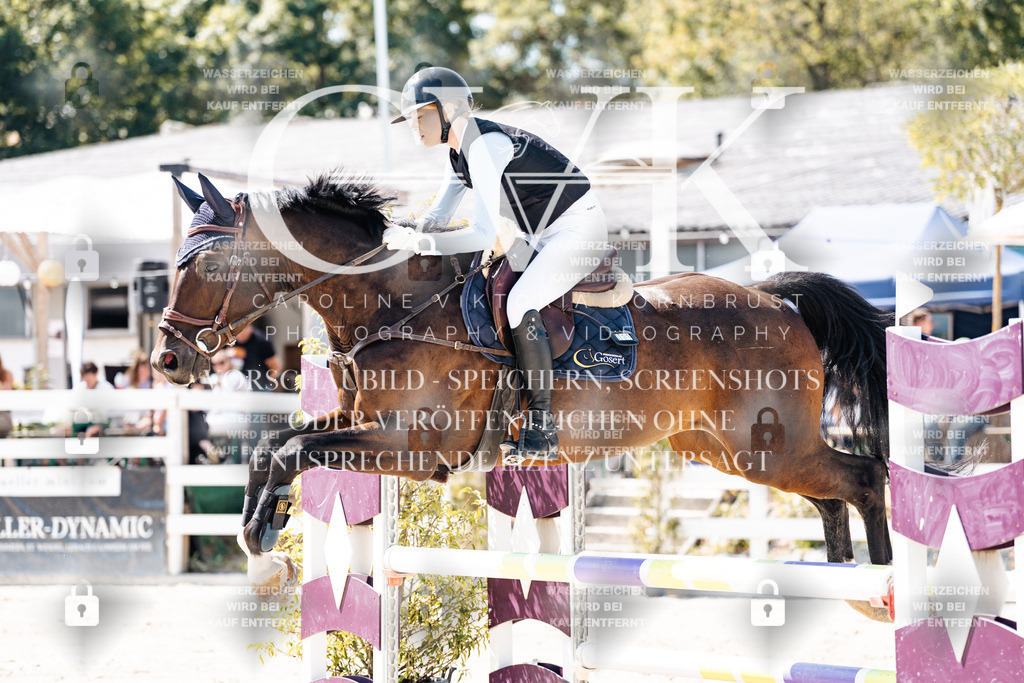 CK909150 | Turnierfotografie Pferdefotografie Trier Rheinland-Pfalz Pferdesport Reitsport Tierfotografie Sportfotografie Pferdevideo Pferdevideografie Equestrianvideography equestrianphotography  - Realisiert mit Pictrs.com