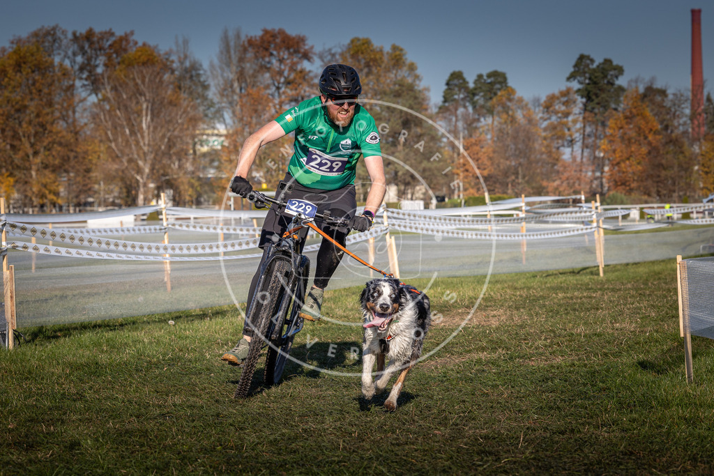 CaniXpix_0L8A4720 | Hundefotografie, Tierfotograf, Pfotenfotografie, Fotoshooting Hund, Hunde Portrait, Hundesport, Hundeportraits, Heideshooting, Hunde, Sportfotograf, Hundefotograf, Turnierhundsport, THS,  - Realisiert mit Pictrs.com