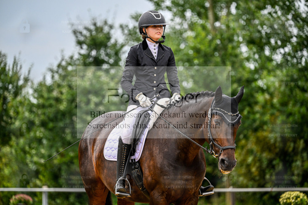 Reitturnier Hasbergen | Entdecke hochwertige Reitturnierfotos von Foto Oger. Professionell, emotional und authentisch – jetzt Lieblingsmomente im Shop bestellen. - Realisiert mit Pictrs.com