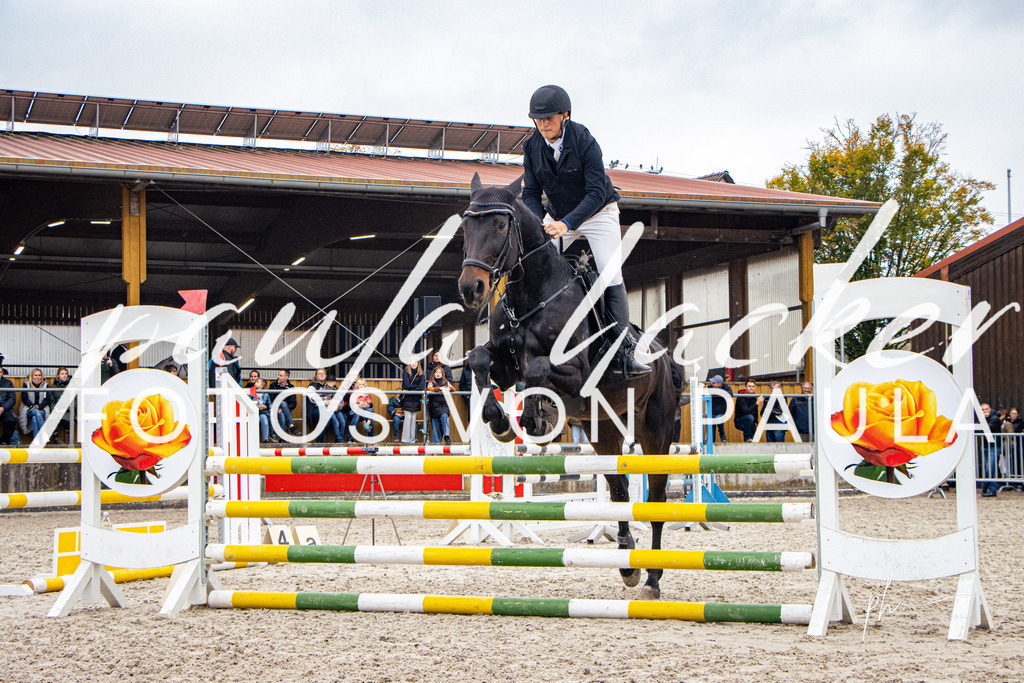 IMG_4189 | Erleben Sie dynamische Sport- und emotionale Tierfotografie in Süddeutschland mit Fotos von Paula. Spezialisiert auf Pferde- und Hundefotografie sowie Sportevents. Kontaktieren Sie mich für einzigartige und ausdrucksstarke Bilder Ihrer besonderen Momente. - Realisiert mit Pictrs.com