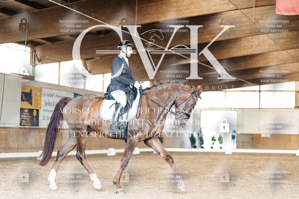 CK901621 | Turnierfotografie Pferdefotografie Trier Rheinland-Pfalz Pferdesport Reitsport Tierfotografie Sportfotografie Pferdevideo Pferdevideografie Equestrianvideography equestrianphotography  - Realisiert mit Pictrs.com