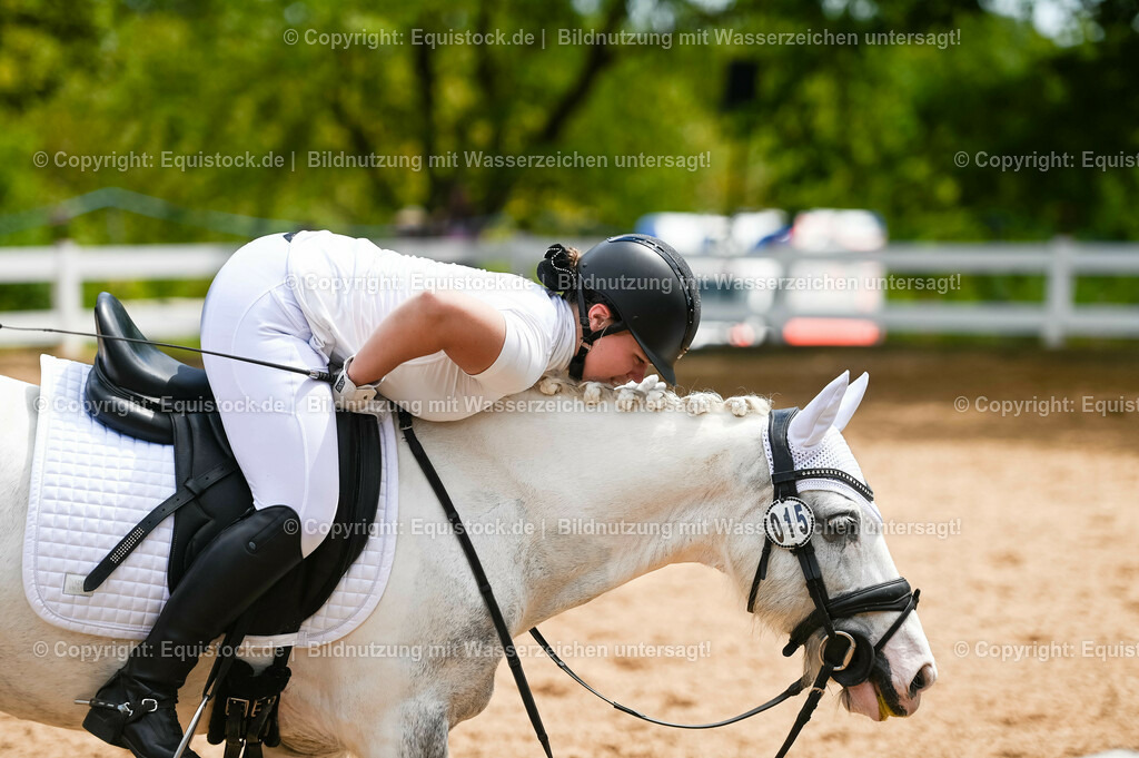 20230715_05_Dressurprüfung Kl.A++_0298 | equistock