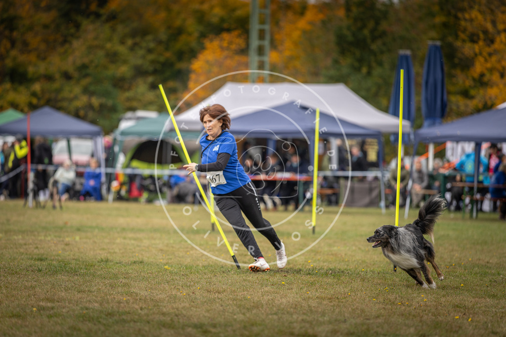 Pfotenfotografie_DV3A6010 | Hundefotografie, Tierfotograf, Pfotenfotografie, Fotoshooting Hund, Hunde Portrait, Hundesport, Hundeportraits, Heideshooting, Hunde, Sportfotograf, Hundefotograf, Turnierhundsport, THS,  - Realisiert mit Pictrs.com