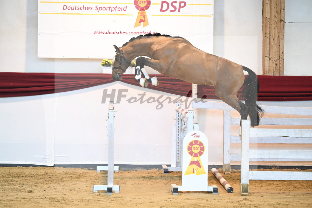 Kat-Nr. 62 v. Asti Spumante_Muehlbauer_66221412 | hf-fotografie - Realizzato con Pictrs.com