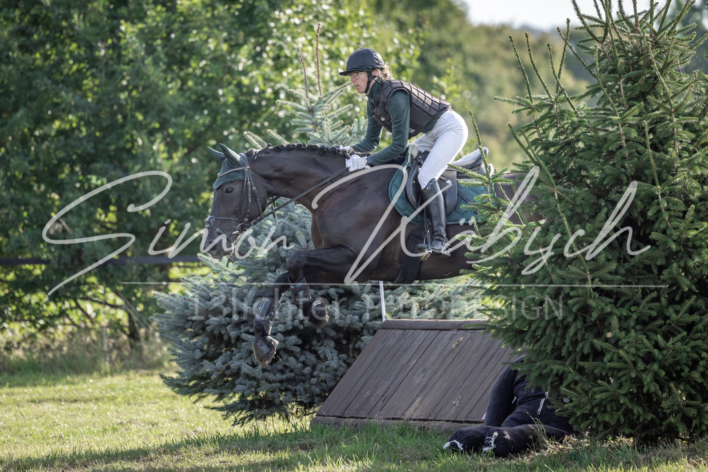 20250907-_3LI8811 | Tierfotografie Pferde, Hunde, Katzen, Haustiere.
Turnierfotografie Reitturniere, Reiten, Springreiten, Dressur in Hanau, dem Main-Kinzig-Kreis und dem Rhein-Main- Gebiet um Frankfurt