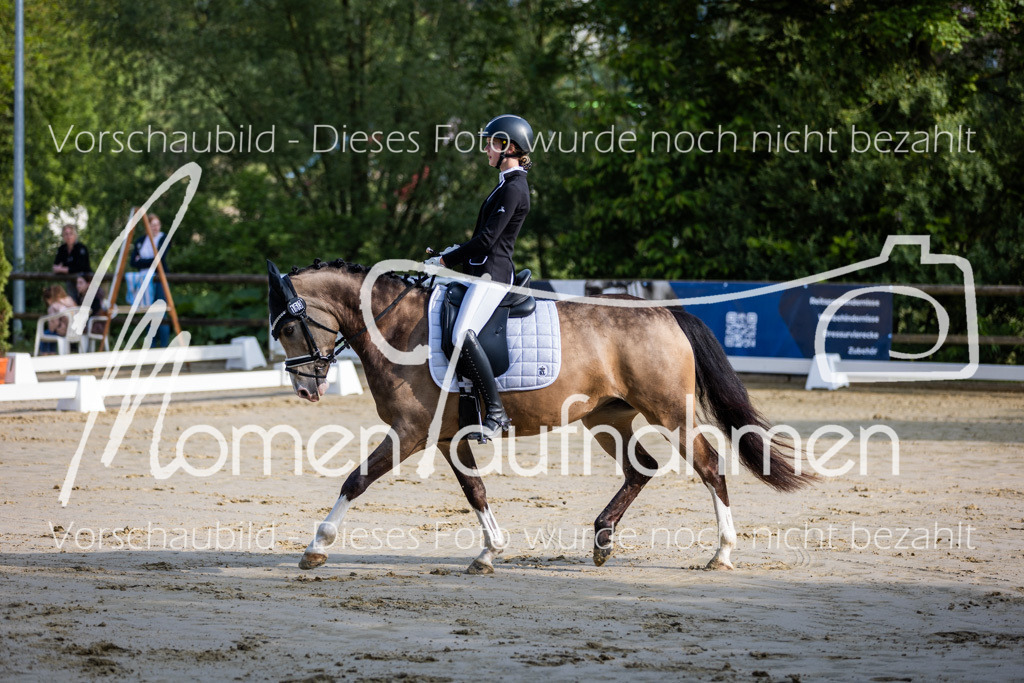 Donop24-A-Dre-010 | MomenTaufnahmen Pferdesportfotos