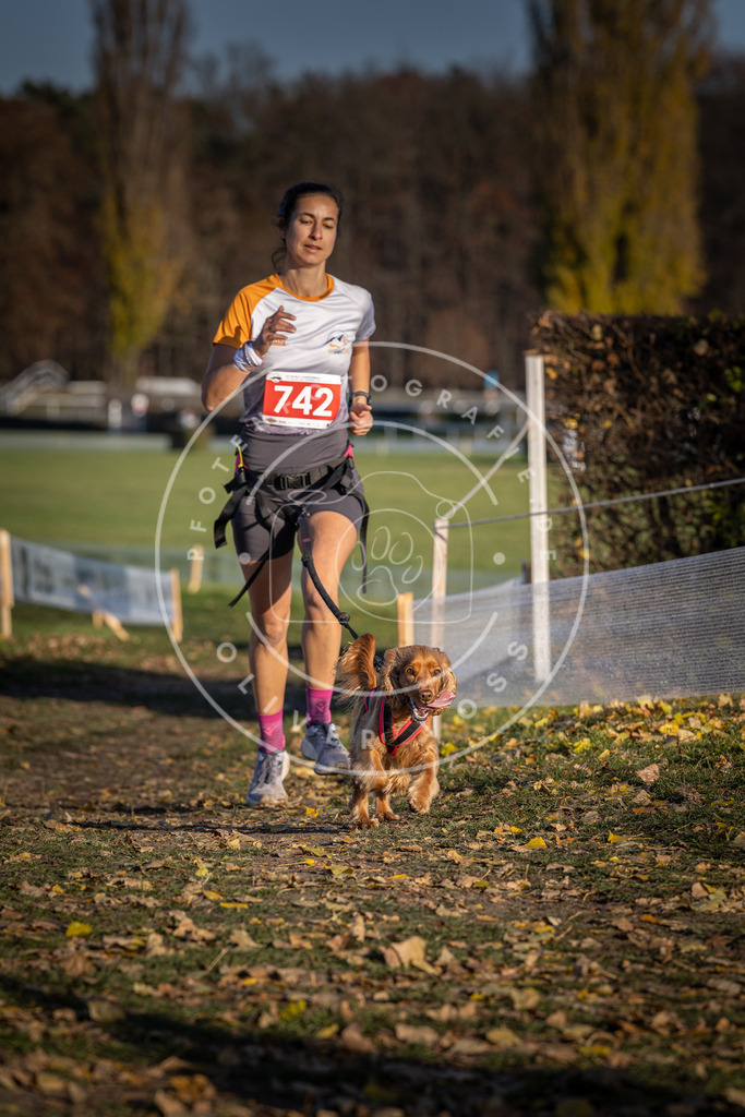 CaniXpix_DV3A2294 | Hundefotografie, Tierfotograf, Pfotenfotografie, Fotoshooting Hund, Hunde Portrait, Hundesport, Hundeportraits, Heideshooting, Hunde, Sportfotograf, Hundefotograf, Turnierhundsport, THS,  - Realisiert mit Pictrs.com