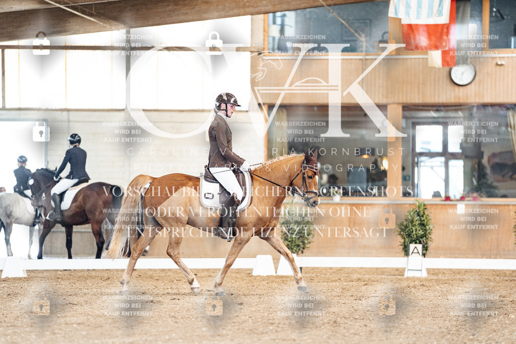 CK900816 | Turnierfotografie Pferdefotografie Trier Rheinland-Pfalz Pferdesport Reitsport Tierfotografie Sportfotografie Pferdevideo Pferdevideografie Equestrianvideography equestrianphotography  - Realisiert mit Pictrs.com