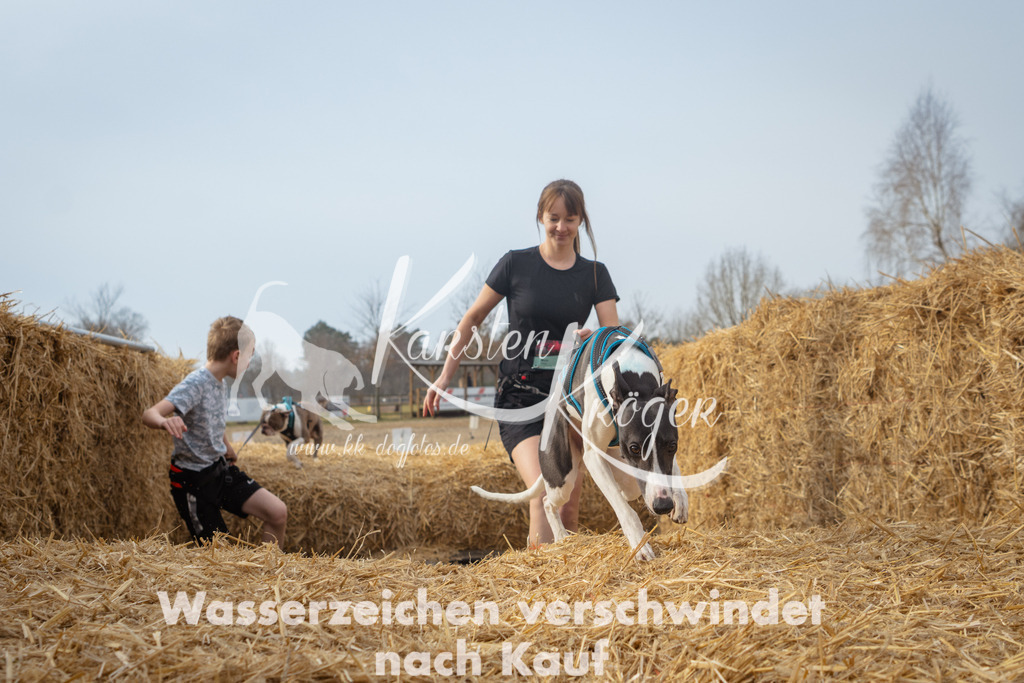 1016_ZZ93364 | kk-dogfotos