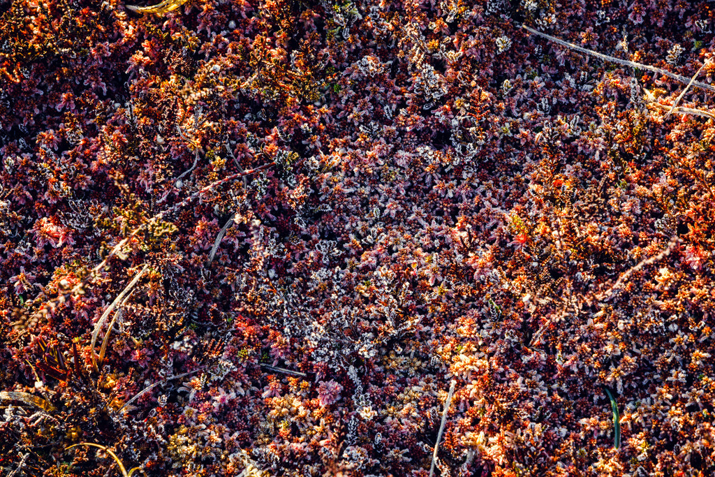 IU2A1490 | ap-design // andreas plenk - Realisiert mit Pictrs.com