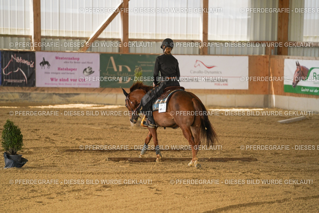 DSC05791 | Pferdegrafie