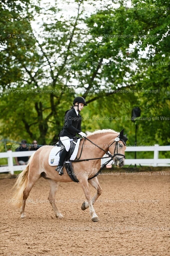 20230716_10-1_Reiter-WB Schritt - Trab - Galopp_0219 | equistock