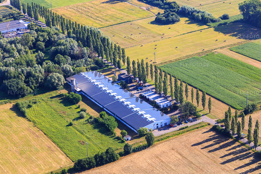 Luftbild: Pappelallee mit ConFas GmbH und Strasser Haustechnik im Ortsteil Schaidt in Wörth im Bundesland Rheinland-Pfalz in Deutschland. Foto: IMG_083067.jpg vom 26.06.2015 durch Werner Riehm/FLY-FOTO.deCONFAS-GMBH.DE