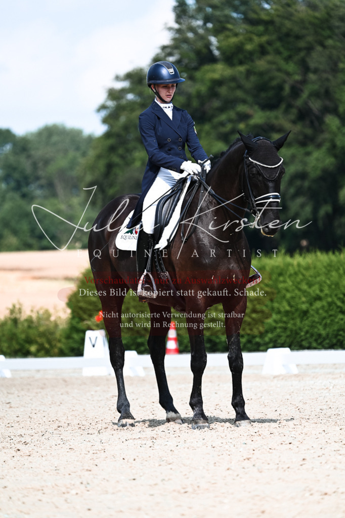 DSC_3171 | Pferde- und Turnierfotografie in Westsachsen. Pferdeportraits, Auftragszeichnungen und intuitive Kunst.