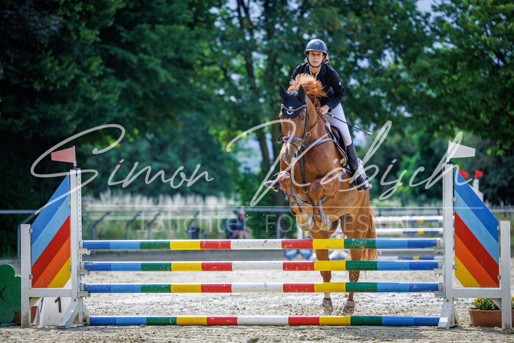 20260705-_3LI4187 | Tierfotografie Pferde, Hunde, Katzen, Haustiere.
Turnierfotografie Reitturniere, Reiten, Springreiten, Dressur in Hanau, dem Main-Kinzig-Kreis und dem Rhein-Main- Gebiet um Frankfurt