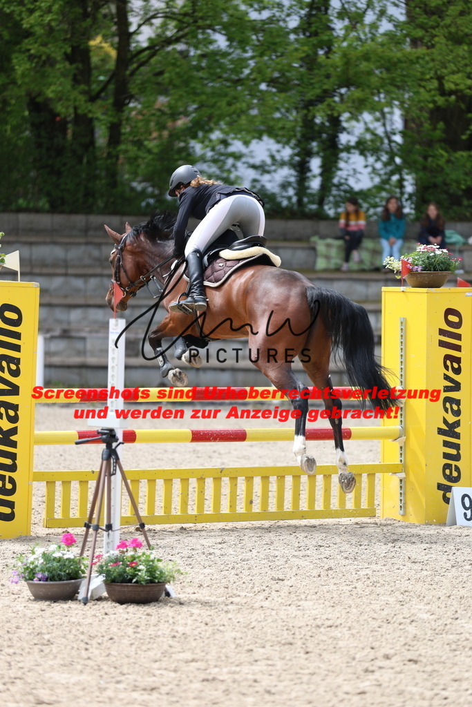 A40A2361 | lmwpictures - Realisiert mit Pictrs.com