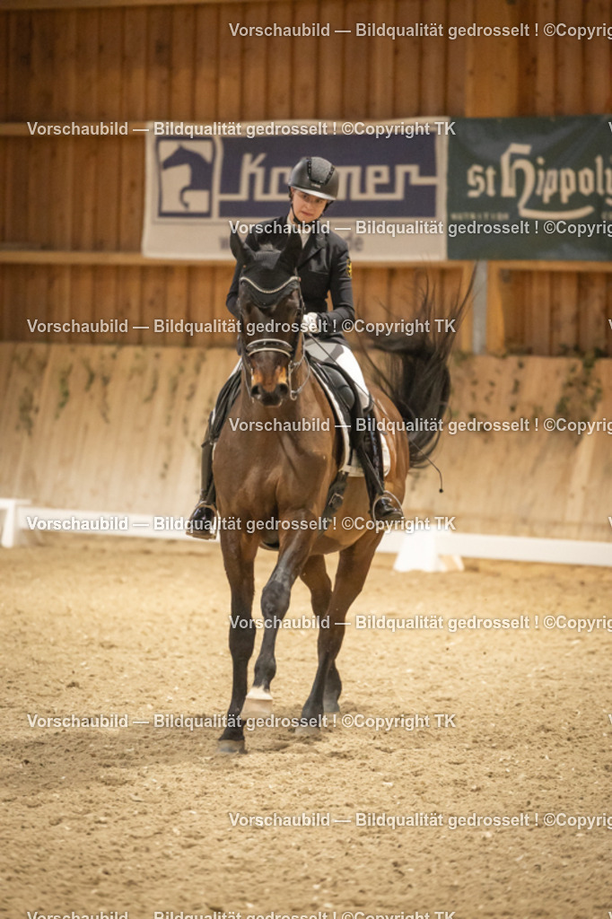 _D5A3851 | Emotionale Pferde- & People-Fotografie rund um Heidelberg, Leimen & Umgebung. Natürliche Fotos von Pferd, Mensch & Familie. Jetzt Termin sichern!