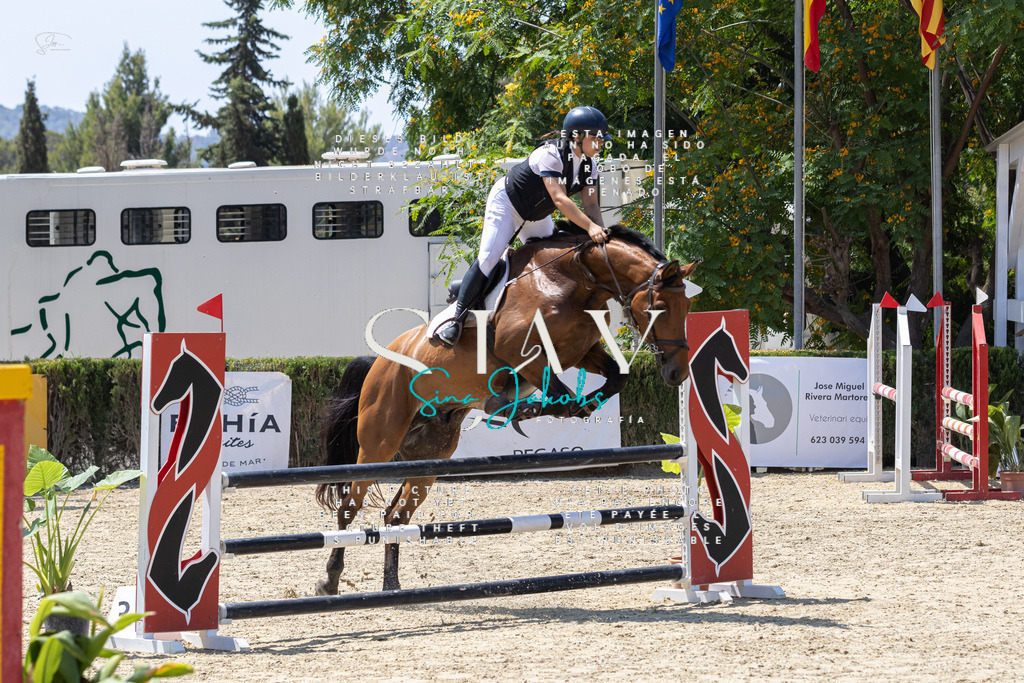 IMG_0529 | s-jay-photography - Realisiert mit Pictrs.com