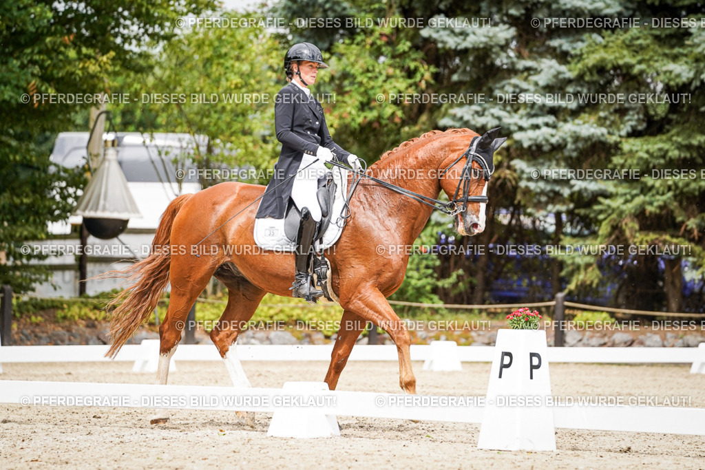 DSC05727 | Pferdegrafie