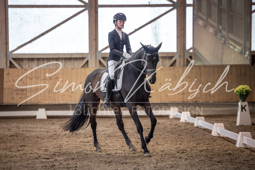 20251011-_3LI1835 | Tierfotografie Pferde, Hunde, Katzen, Haustiere.
Turnierfotografie Reitturniere, Reiten, Springreiten, Dressur in Hanau, dem Main-Kinzig-Kreis und dem Rhein-Main- Gebiet um Frankfurt