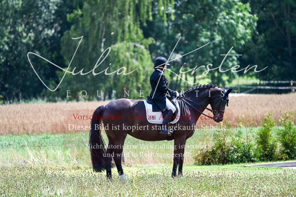 DSC_2769 | Pferde- und Turnierfotografie in Westsachsen. Pferdeportraits, Auftragszeichnungen und intuitive Kunst.