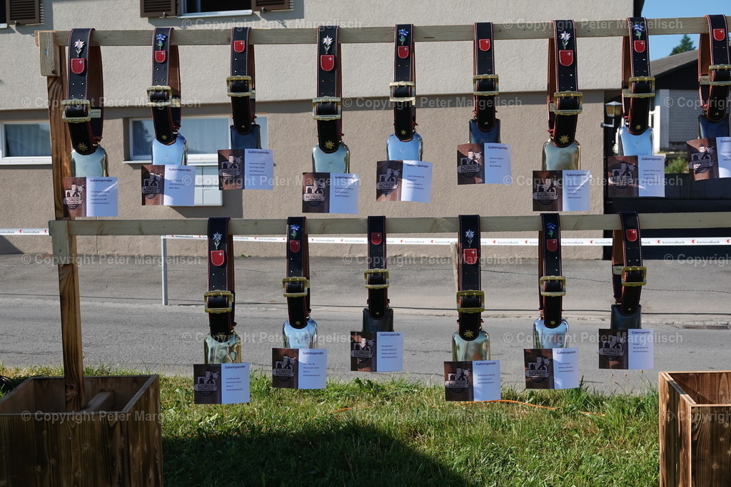 DSC04699 | Schwingen - Realisiert mit Pictrs.com