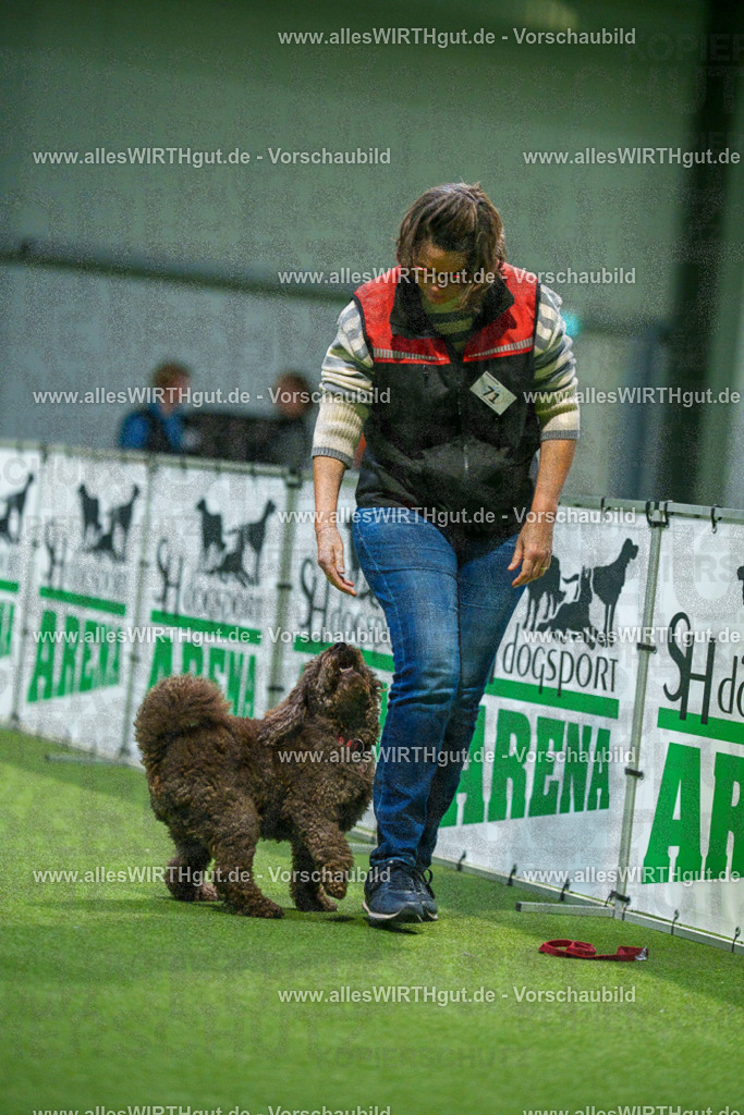 7R508327 | Professionelle Tierfotografie in Mönchengladbach von Daniel Wirth (allesWIRTHgut). Liebevolle & natürliche Bilder von Hunden & Katzen für unvergessliche Erinnerungen.