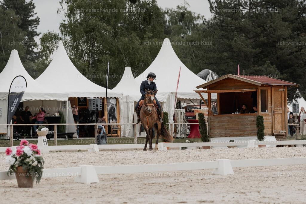 WE_DR_Stoib_329_PI2025_456 | Pferd International München 2025