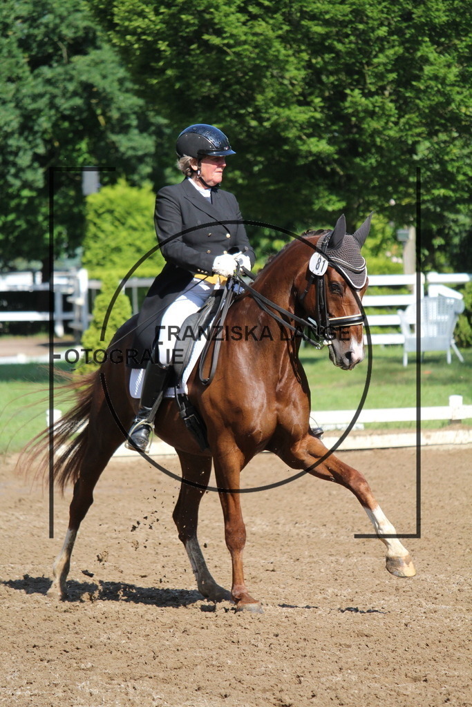 IMG_6561 | franziskalange - Realisiert mit Pictrs.com