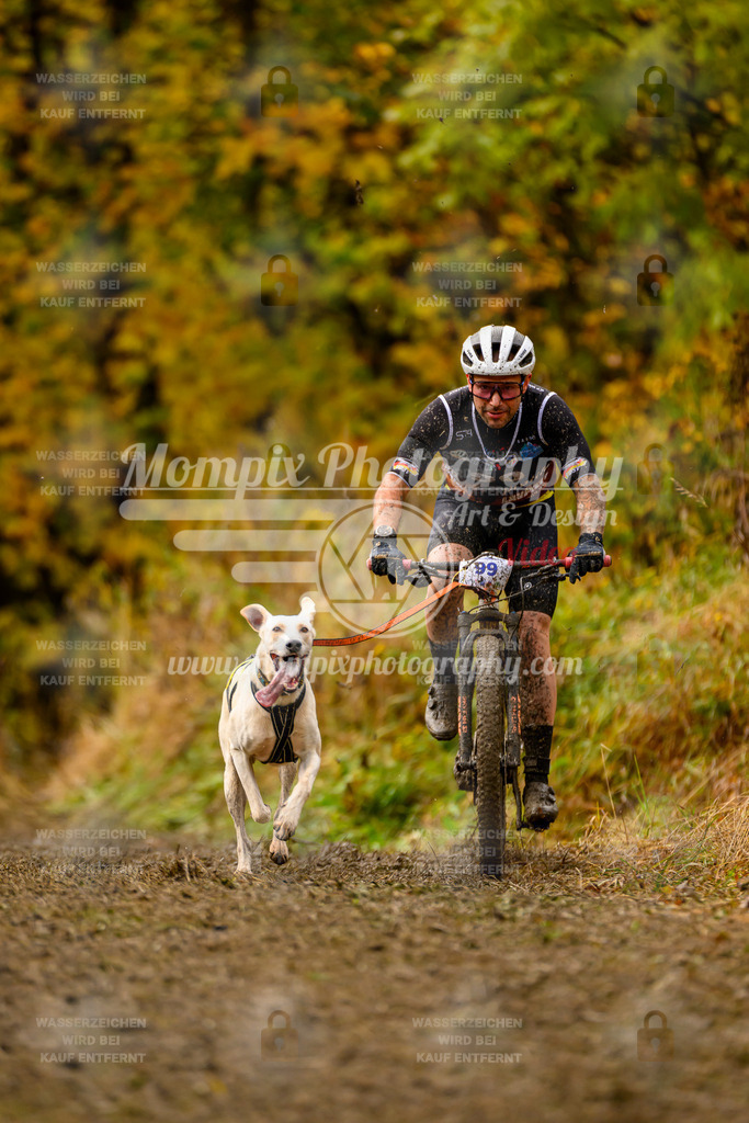 MompixPhotography_ICF_WC_2024_SA_Bike_-59 | PayLife