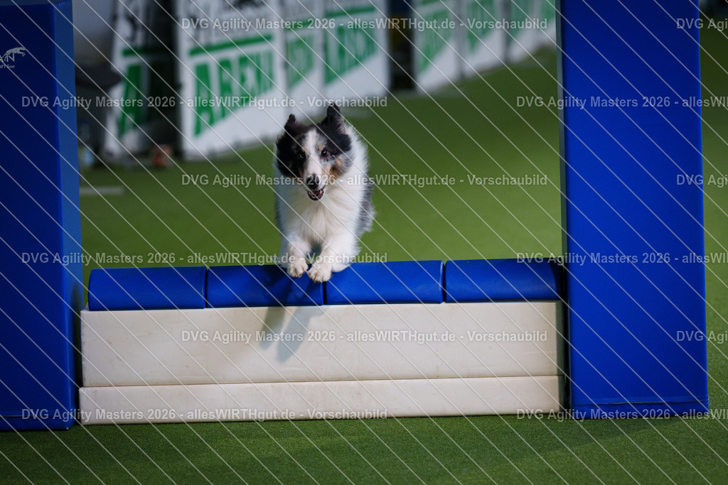 allesWIRTHgut_Tierfotografie-DVG_Agility_Masters_2026-11_23-7R505850 | Professionelle Tierfotografie in Mönchengladbach von Daniel Wirth (allesWIRTHgut). Liebevolle & natürliche Bilder von Hunden & Katzen für unvergessliche Erinnerungen.