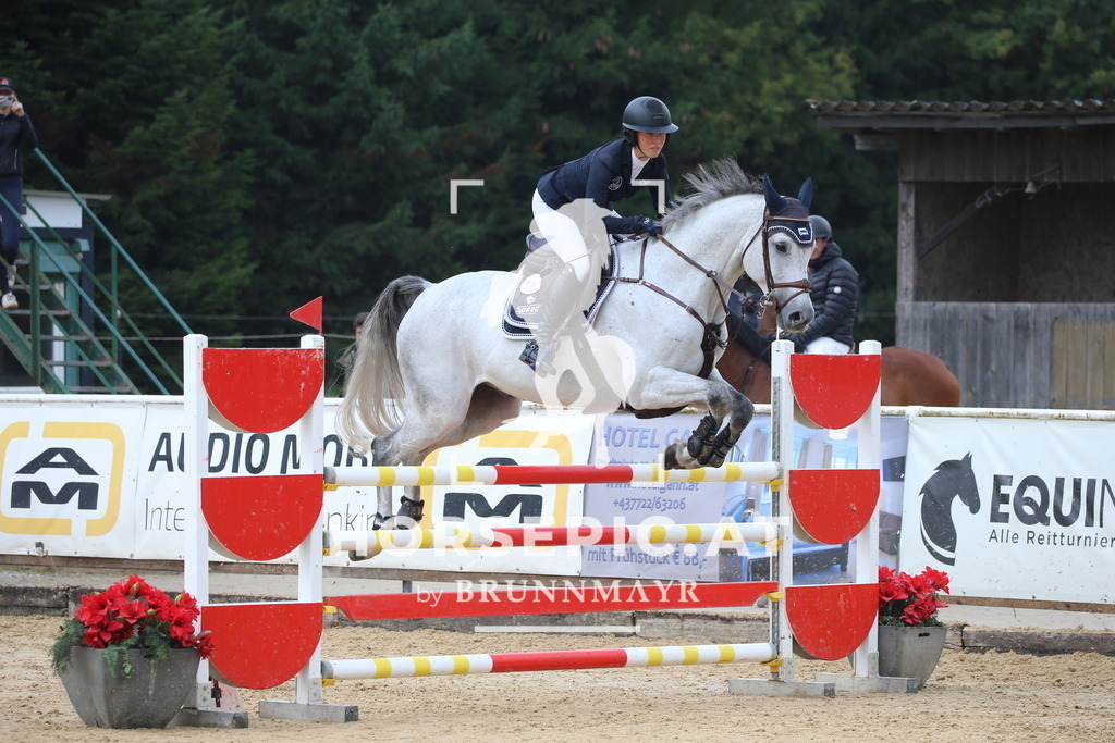 DL2Q0197 | Willkommen bei Brunnmayr - Design & Fotografie – Ihrem Spezialisten für Reitturniere und Pferdeveranstaltungen in Oberösterreich, Salzburg und Bayern! Seit über 17 Jahren sind wir leidenschaftlich dabei.
