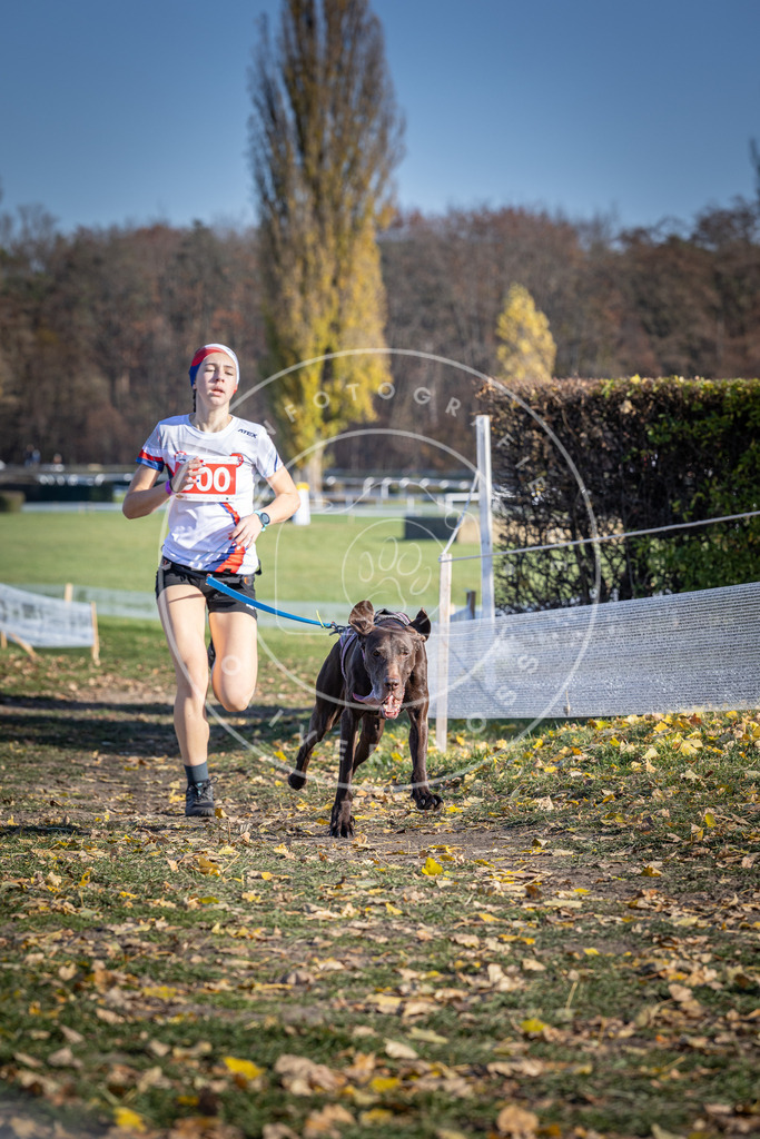 CaniXpix_DV3A9477 | Hundefotografie, Tierfotograf, Pfotenfotografie, Fotoshooting Hund, Hunde Portrait, Hundesport, Hundeportraits, Heideshooting, Hunde, Sportfotograf, Hundefotograf, Turnierhundsport, THS,  - Realisiert mit Pictrs.com