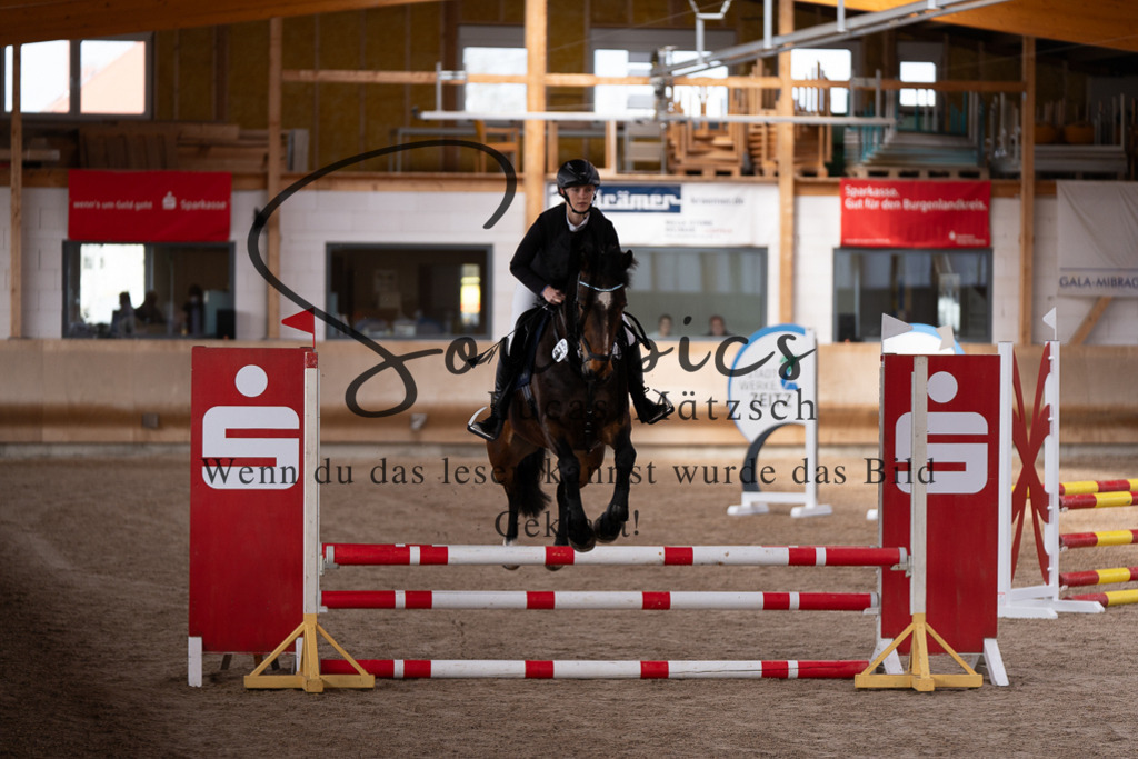 A7507370 | Pferdefotograf