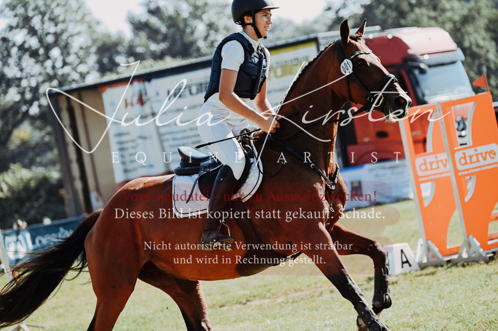 DSC_5425 | Pferde- und Turnierfotografie in Westsachsen. Pferdeportraits, Auftragszeichnungen und intuitive Kunst.