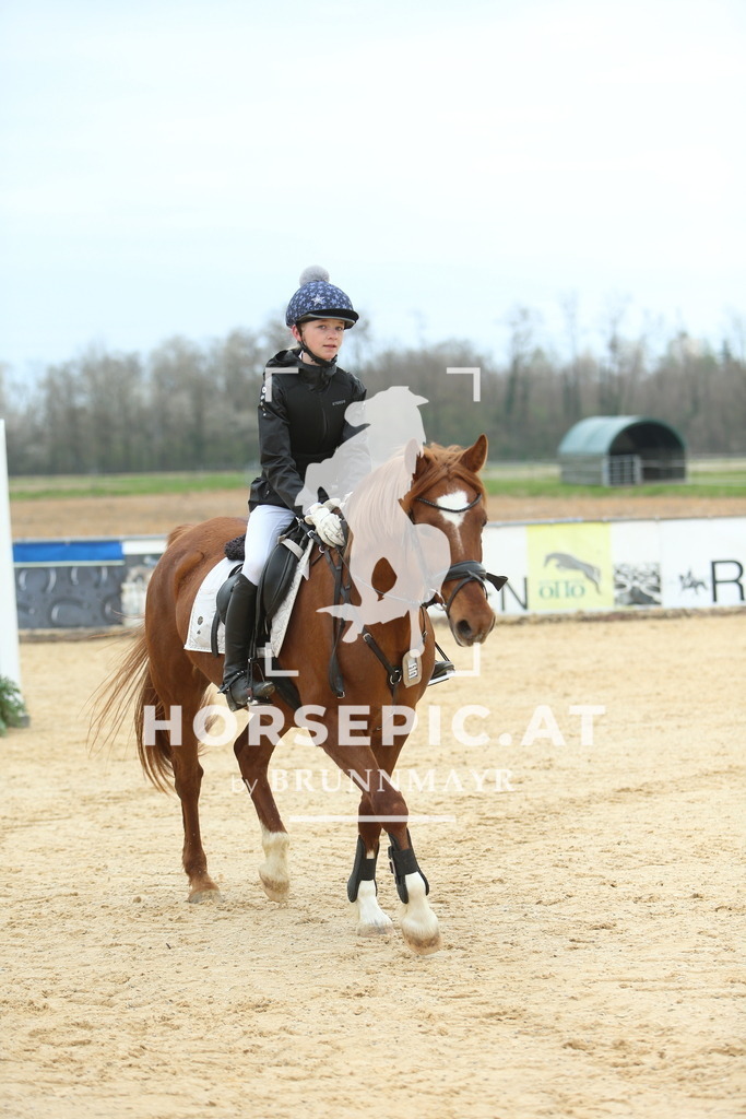 DL2Q2338 | Willkommen bei Brunnmayr - Design & Fotografie – Ihrem Spezialisten für Reitturniere und Pferdeveranstaltungen in Oberösterreich, Salzburg und Bayern! Seit über 17 Jahren sind wir leidenschaftlich dabei.