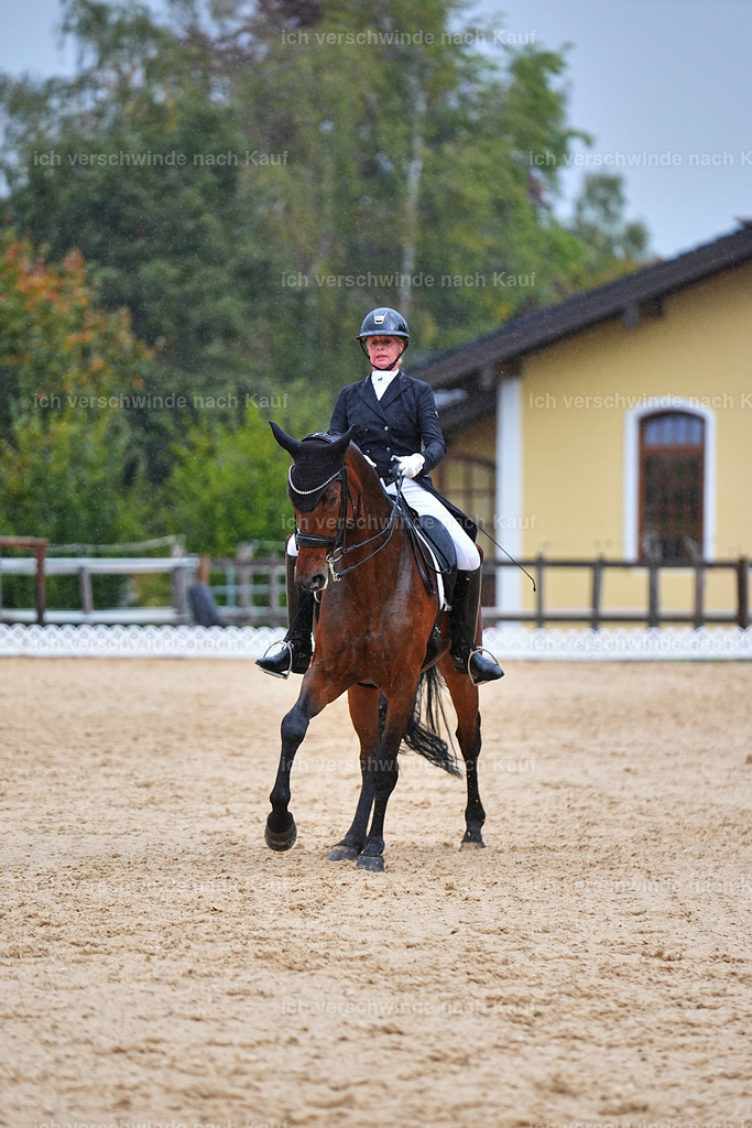 8_1-020-Klasse S_  -Marixx-4368 | working equitationturnier fotograf videograf stoibphotography marixx film working equitation deutschland reitsport turnierfotografie eventfotografie equestrian events