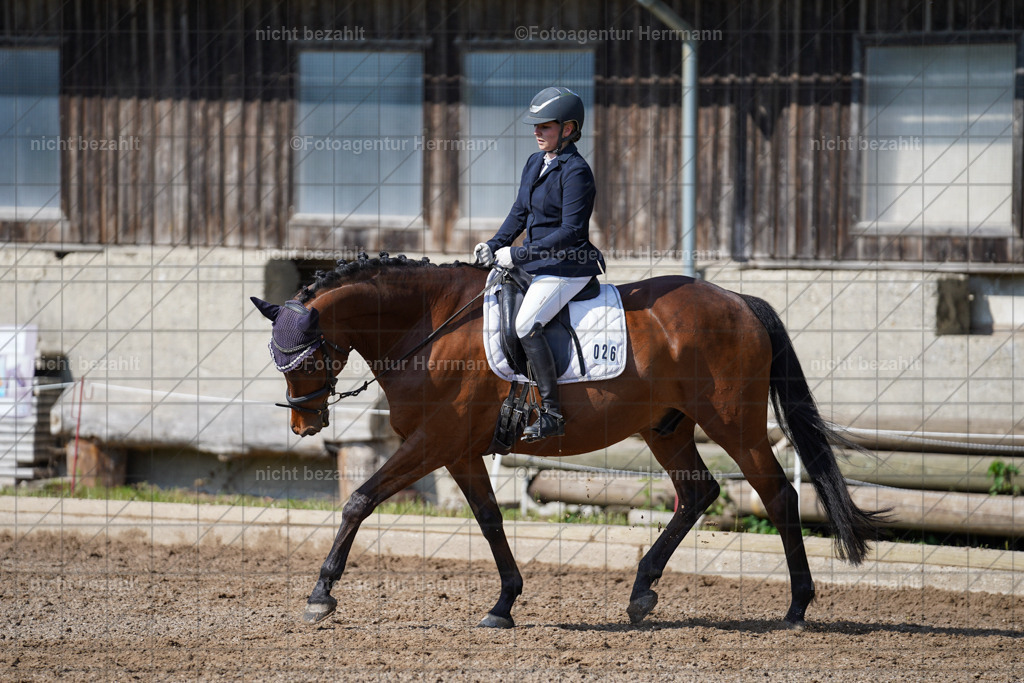 20240519-FAH04634 | Turnierbilder Niederseeon 2024, Vielseitigkeitsdressur, Reitsportbilder aus dem Landkreit Ebersberg, Gut Steinsee, RC Steinsee, Fotoagentur Herrmann
