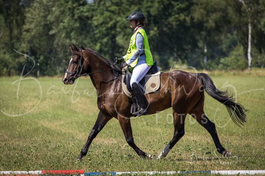 CJP_2026-06-26_98 | Stimmungsvolle Fotografie von Pferden, fotografische Begleitung von Veranstaltungen, Golfturnieren und Distanzritten - Realisiert mit Pictrs.com